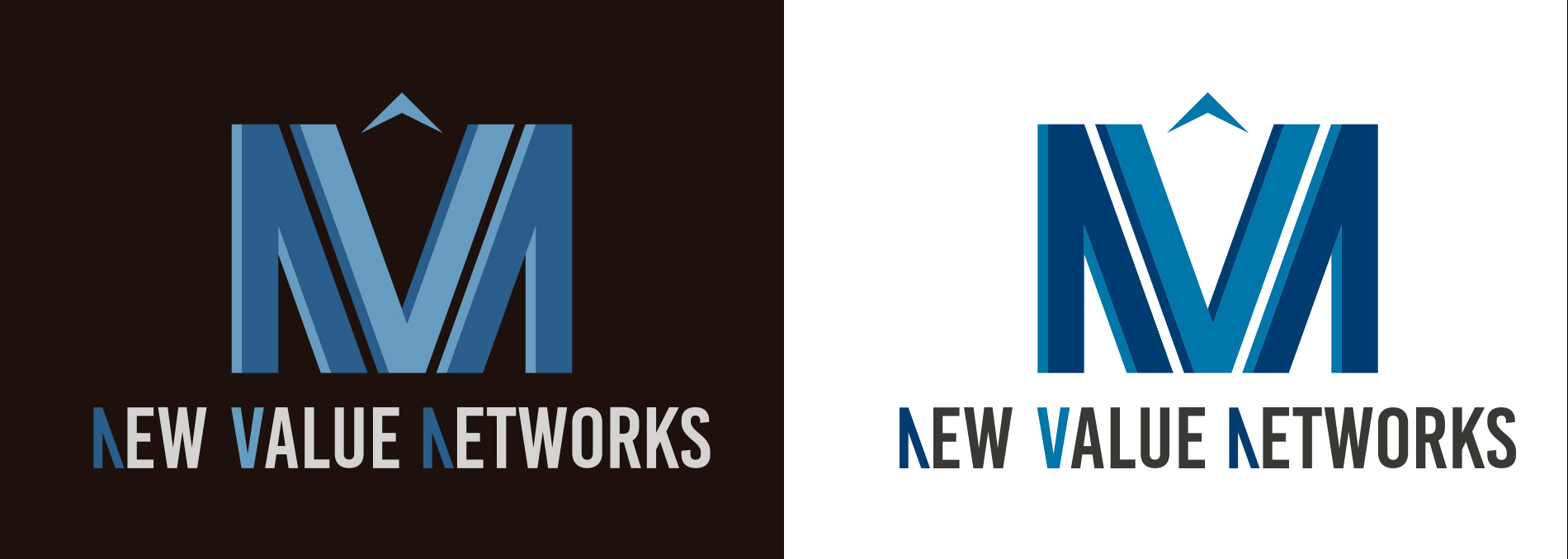 Logosímbolo New Value Networks
