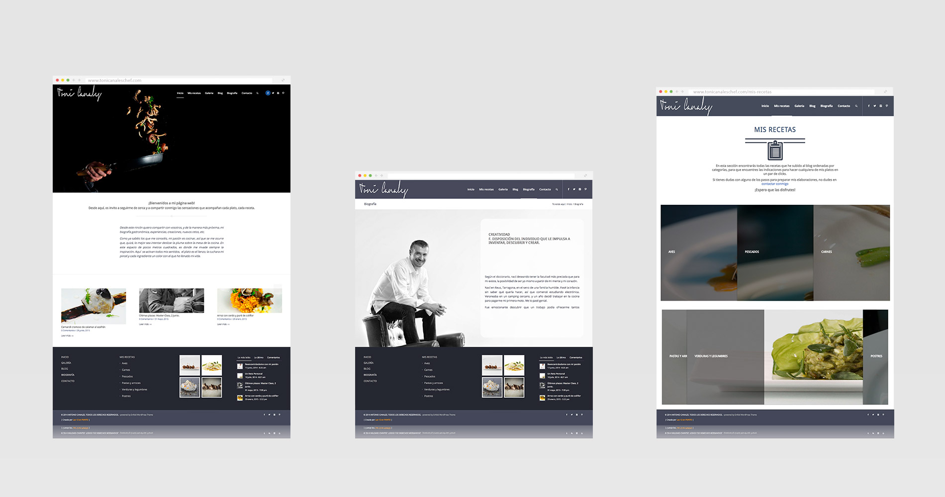  diseño de las páginas de la web de Toni Canales