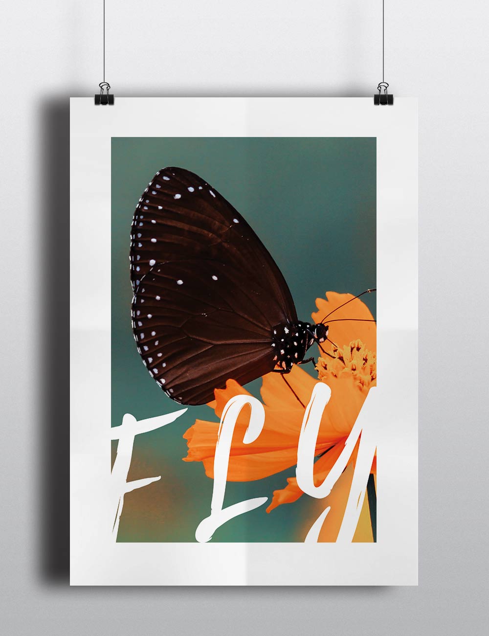 Posters decorativos bonitos de mariposa